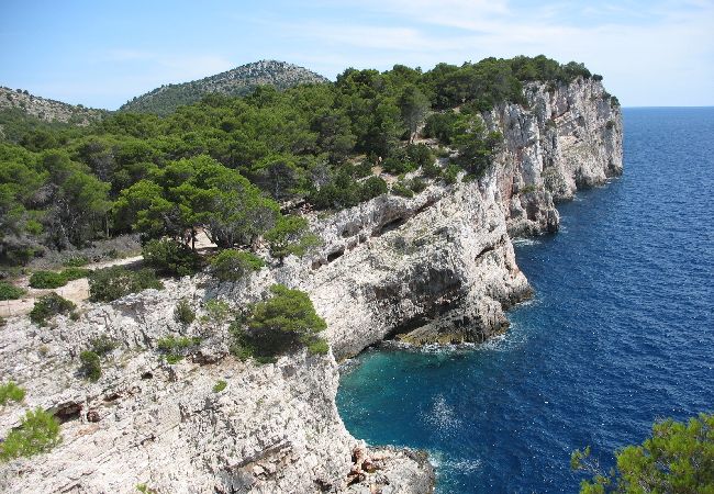 Casa a Veli Rat - Casa di vacanza in Veli Rat con vista mare, terrazzo, Climatizzazione, WIFI (3559-1) Casa a Veli Rat - Casa di vacanza in Veli Rat con vista mare, terrazzo, Climatizzazione, WIFI (3559-1)