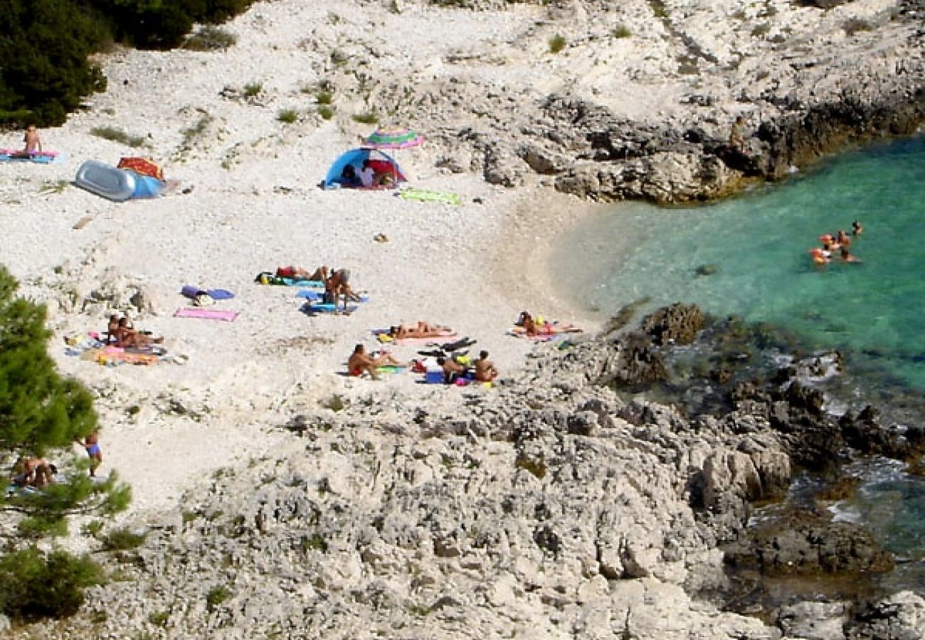 Casa a Veli Rat - Casa di vacanza in Veli Rat con vista mare, terrazzo, Climatizzazione, WIFI (3559-1)