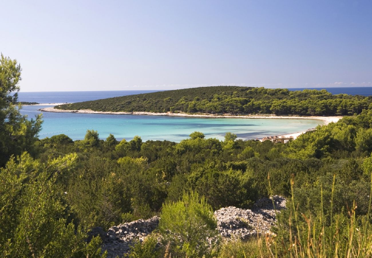 Casa a Veli Rat - Casa di vacanza in Veli Rat con vista mare, terrazzo, Climatizzazione, WIFI (3559-1)