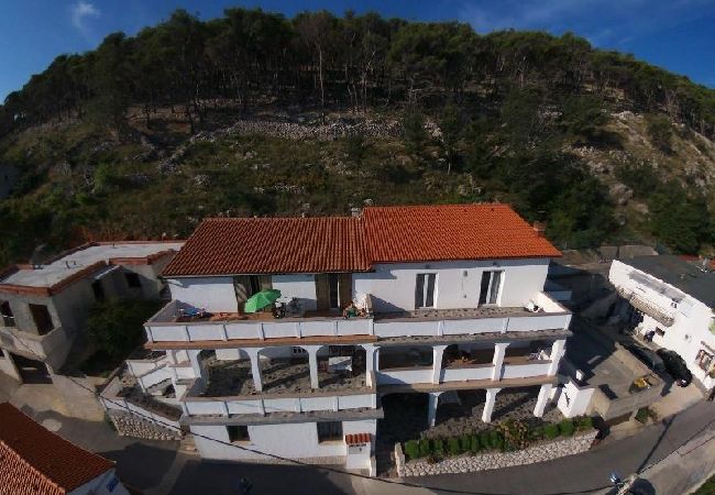 Appartamento a Lopar - Appartamento in Loparo (Lopar) con vista mare, terrazzo, WIFI (824-3) Appartamento a Lopar - Appartamento in Loparo (Lopar) con vista mare, terrazzo, WIFI (824-3)
