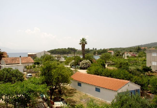 Appartamento a Sucuraj - Appartamento in San Giorgio (Sućuraj) con vista mare, balcone, Climatizzazione, WIFI (3560-2) Appartamento a Sucuraj - Appartamento in San Giorgio (Sućuraj) con vista mare, balcone, Climatizzazione, WIFI (3560-2)