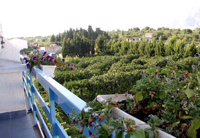 Appartamento a Sucuraj - Appartamento in San Giorgio (Sućuraj) con vista mare, balcone, Climatizzazione, WIFI (3560-2) Appartamento a Sucuraj - Appartamento in San Giorgio (Sućuraj) con vista mare, balcone, Climatizzazione, WIFI (3560-2)