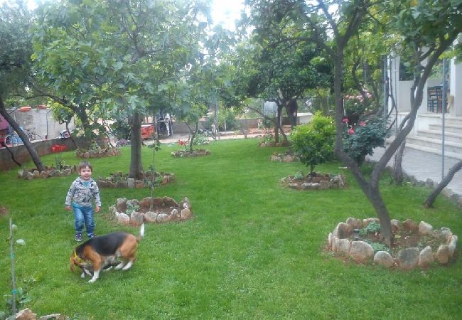 Appartamento a Sucuraj - Appartamento in San Giorgio (Sućuraj) con vista mare, balcone, Climatizzazione, WIFI (3560-2) Appartamento a Sucuraj - Appartamento in San Giorgio (Sućuraj) con vista mare, balcone, Climatizzazione, WIFI (3560-2)