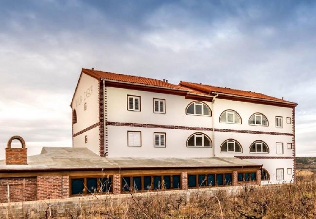 Appartamento a Novalja - Appartamento in Novaglia (Novalja) con vista mare, terrazzo, Climatizzazione, WIFI (3565-5) Appartamento a Novalja - Appartamento in Novaglia (Novalja) con vista mare, terrazzo, Climatizzazione, WIFI (3565-5)