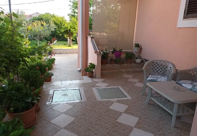 Appartamento a Privlaka - Appartamento in Brevilacqua (Privlaka) con terrazzo, Climatizzazione, WIFI, Lavatrice (821-2) Appartamento a Privlaka - Appartamento in Brevilacqua (Privlaka) con terrazzo, Climatizzazione, WIFI, Lavatrice (821-2)