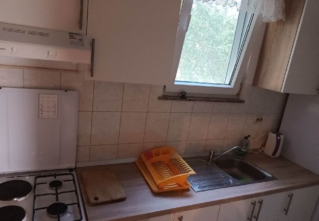Appartamento a Privlaka - Appartamento in Brevilacqua (Privlaka) con terrazzo, Climatizzazione, WIFI, Lavatrice (821-2) Appartamento a Privlaka - Appartamento in Brevilacqua (Privlaka) con terrazzo, Climatizzazione, WIFI, Lavatrice (821-2)
