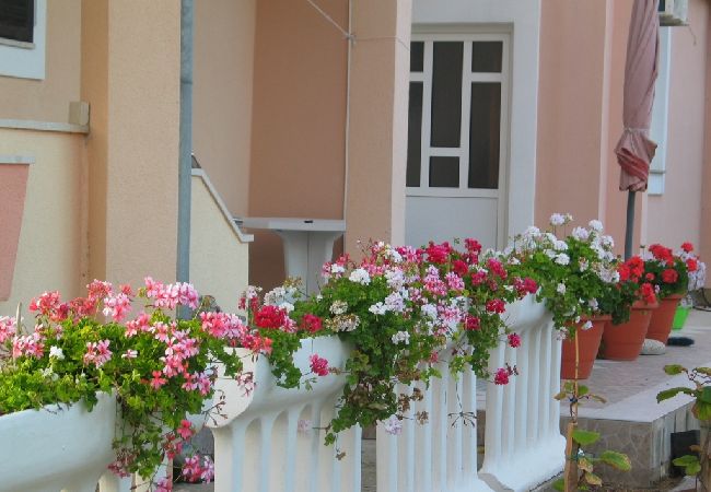 Appartamento a Privlaka - Appartamento in Brevilacqua (Privlaka) con terrazzo, Climatizzazione, WIFI, Lavatrice (821-2) Appartamento a Privlaka - Appartamento in Brevilacqua (Privlaka) con terrazzo, Climatizzazione, WIFI, Lavatrice (821-2)