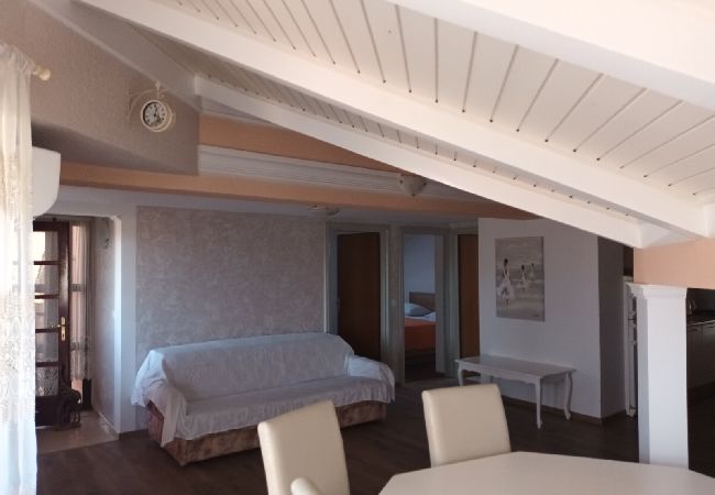 Appartamento a Privlaka - Appartamento in Brevilacqua (Privlaka) con terrazzo, Climatizzazione, WIFI, Lavatrice (821-3) Appartamento a Privlaka - Appartamento in Brevilacqua (Privlaka) con terrazzo, Climatizzazione, WIFI, Lavatrice (821-3)