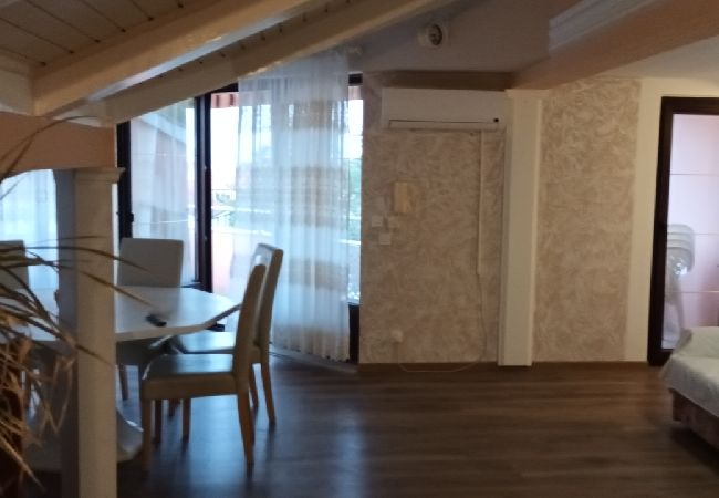 Appartamento a Privlaka - Appartamento in Brevilacqua (Privlaka) con terrazzo, Climatizzazione, WIFI, Lavatrice (821-3) Appartamento a Privlaka - Appartamento in Brevilacqua (Privlaka) con terrazzo, Climatizzazione, WIFI, Lavatrice (821-3)