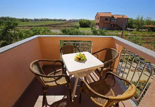 Appartamento a Privlaka - Appartamento in Brevilacqua (Privlaka) con vista mare, balcone, Climatizzazione, WIFI (3598-5) Appartamento a Privlaka - Appartamento in Brevilacqua (Privlaka) con vista mare, balcone, Climatizzazione, WIFI (3598-5)