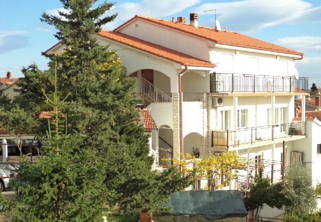 Appartamento a Pula - Appartamento in Pola (Pula) con vista mare, terrazzo, Climatizzazione, WIFI (633-2) Appartamento a Pula - Appartamento in Pola (Pula) con vista mare, terrazzo, Climatizzazione, WIFI (633-2)