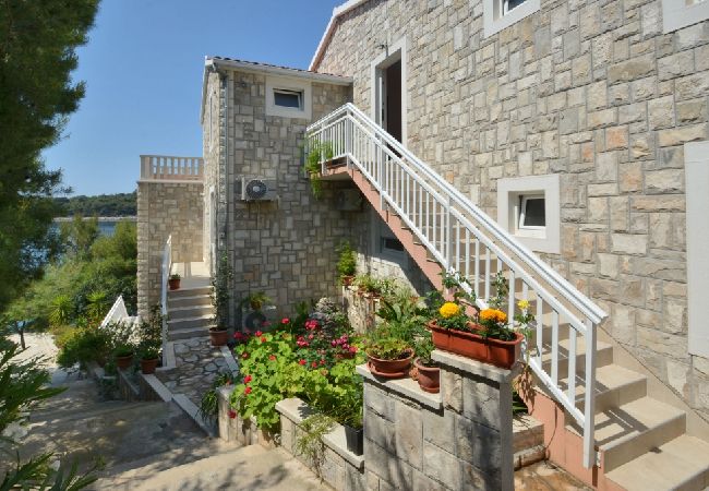 Appartamento a Karbuni - Appartamento in Karbuni con vista mare, terrazzo, Climatizzazione, WIFI (3609-3) Appartamento a Karbuni - Appartamento in Karbuni con vista mare, terrazzo, Climatizzazione, WIFI (3609-3)