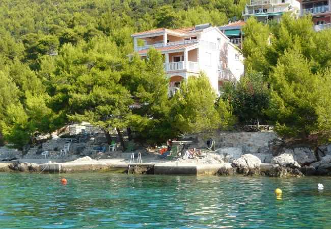 Appartamento a Karbuni - Appartamento in Karbuni con vista mare, terrazzo, Climatizzazione, WIFI (3609-4) Appartamento a Karbuni - Appartamento in Karbuni con vista mare, terrazzo, Climatizzazione, WIFI (3609-4)