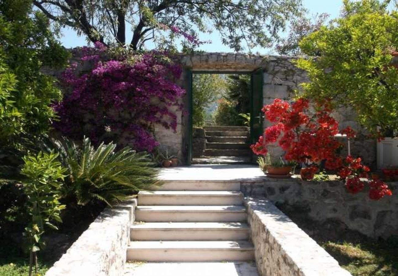 Appartamento a Cavtat - Appartamento in Ragusa Vecchia (Cavtat) con vista mare, terrazzo, Climatizzazione, WIFI (3612-2)