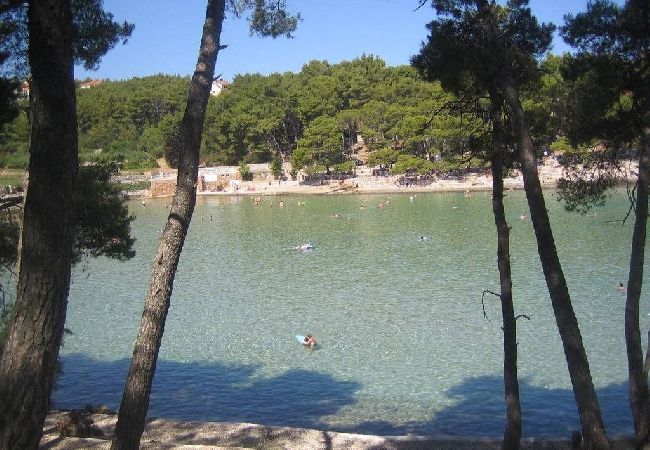 Appartamento a Jelsa - Appartamento in Gelsa (Jelsa) con balcone, Climatizzazione, WIFI (3621-1) Appartamento a Jelsa - Appartamento in Gelsa (Jelsa) con balcone, Climatizzazione, WIFI (3621-1)