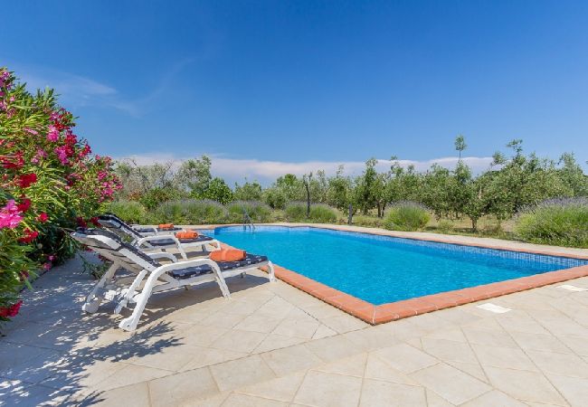 Casa a Loborika - Casa di vacanza in Loborika con terrazzo, Climatizzazione, WIFI, Lavatrice (3642-1) Casa a Loborika - Casa di vacanza in Loborika con terrazzo, Climatizzazione, WIFI, Lavatrice (3642-1)