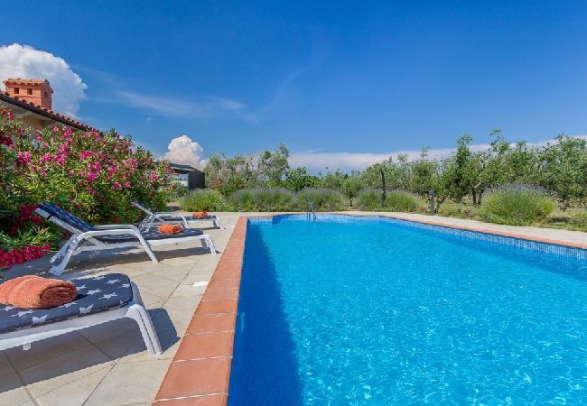 Casa a Loborika - Casa di vacanza in Loborika con terrazzo, Climatizzazione, WIFI, Lavatrice (3642-1) Casa a Loborika - Casa di vacanza in Loborika con terrazzo, Climatizzazione, WIFI, Lavatrice (3642-1)
