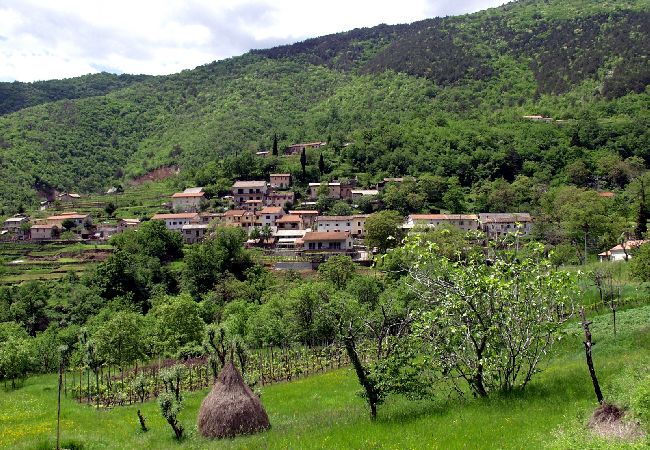 Casa a Loborika - Casa di vacanza in Loborika con terrazzo, Climatizzazione, WIFI, Lavatrice (3642-1) Casa a Loborika - Casa di vacanza in Loborika con terrazzo, Climatizzazione, WIFI, Lavatrice (3642-1)