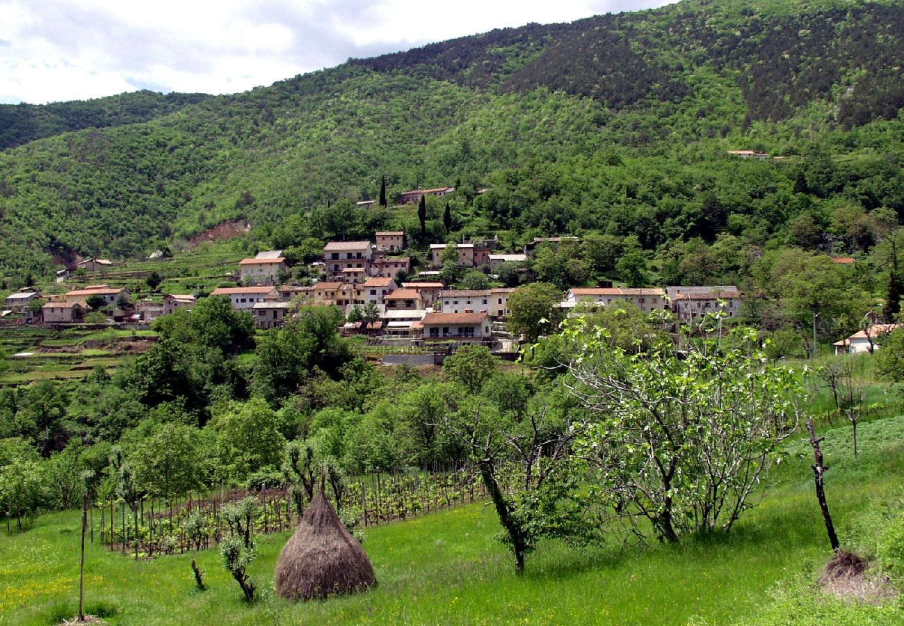 Casa a Loborika - Casa di vacanza in Loborika con terrazzo, Climatizzazione, WIFI, Lavatrice (3642-1)