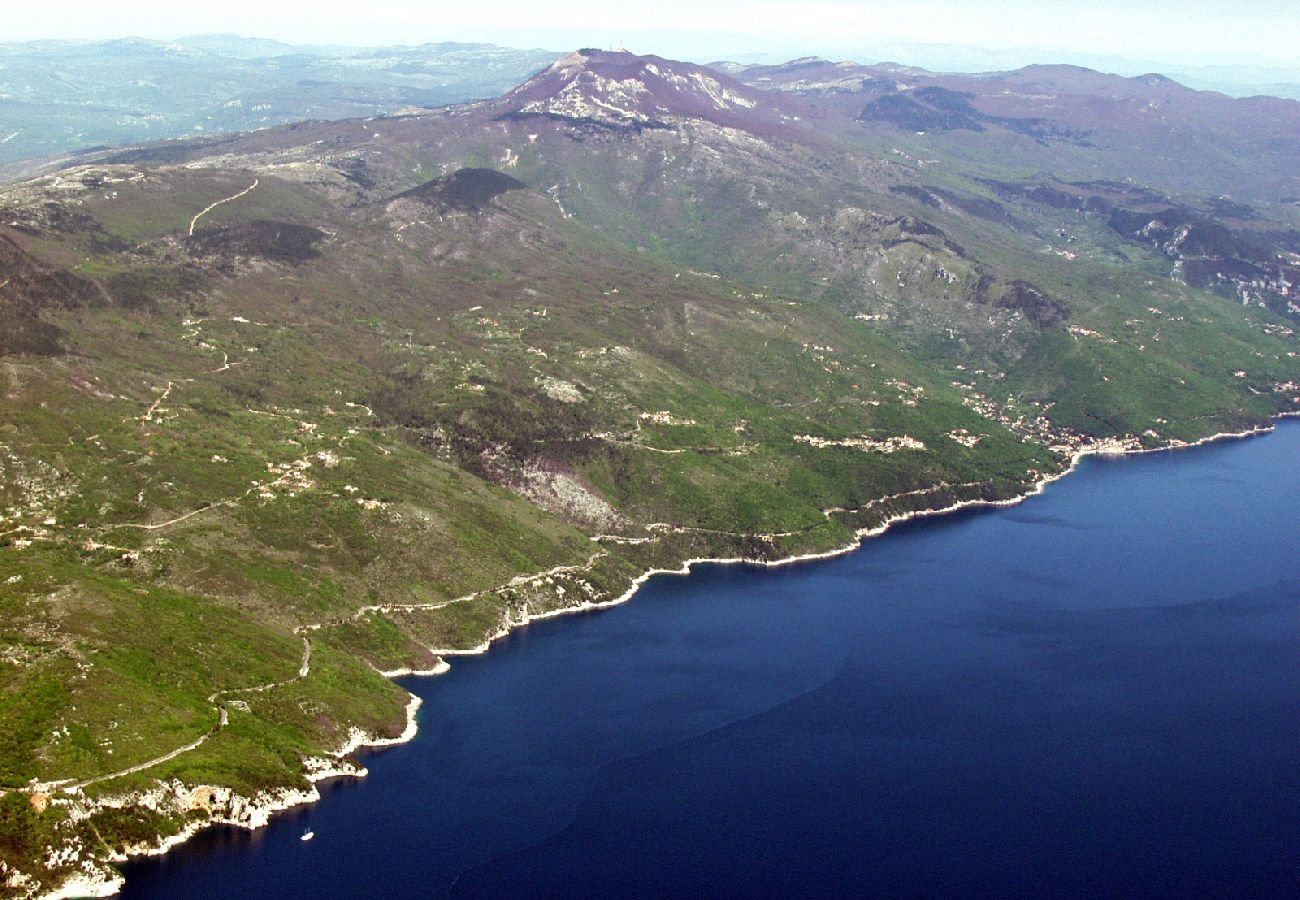 Casa a Loborika - Casa di vacanza in Loborika con terrazzo, Climatizzazione, WIFI, Lavatrice (3642-1)