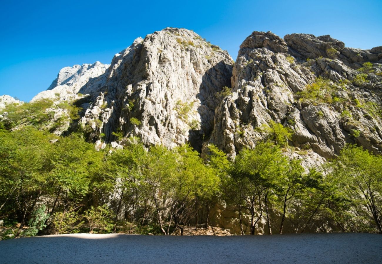 Affitto per camere a Starigrad - Camera in Ortopula (Paklenica) con terrazzo, Climatizzazione, WIFI (627-6)