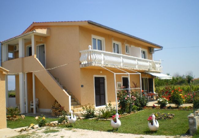 Appartamento a Privlaka - Appartamento in Brevilacqua (Privlaka) con vista mare, balcone, Climatizzazione, WIFI (667-2) Appartamento a Privlaka - Appartamento in Brevilacqua (Privlaka) con vista mare, balcone, Climatizzazione, WIFI (667-2)