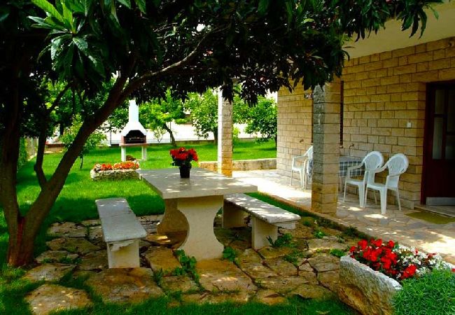 Appartamento a Novigrad - Appartamento in Cittanova (Novigrad) con terrazzo, Climatizzazione, WIFI, Lavatrice (3663-1) Appartamento a Novigrad - Appartamento in Cittanova (Novigrad) con terrazzo, Climatizzazione, WIFI, Lavatrice (3663-1)