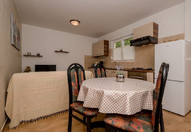 Appartamento a Palit - Appartamento in Palit con terrazzo, Climatizzazione, WIFI, Lavastoviglie (820-3) Appartamento a Palit - Appartamento in Palit con terrazzo, Climatizzazione, WIFI, Lavastoviglie (820-3)