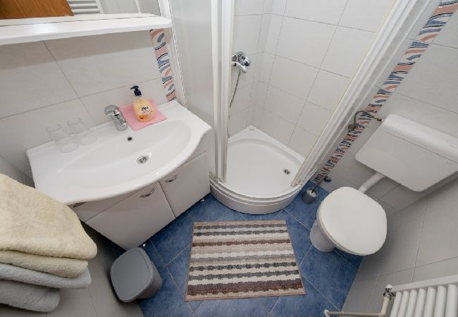 Appartamento a Palit - Appartamento in Palit con vista mare, terrazzo, Climatizzazione, WIFI (820-4) Appartamento a Palit - Appartamento in Palit con vista mare, terrazzo, Climatizzazione, WIFI (820-4)