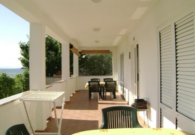 Appartamento a Kampor - Appartamento in Kampor con vista mare, terrazzo, Climatizzazione, WIFI (3708-1) Appartamento a Kampor - Appartamento in Kampor con vista mare, terrazzo, Climatizzazione, WIFI (3708-1)