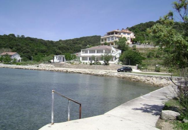 Appartamento a Kampor - Appartamento in Kampor con vista mare, terrazzo, WIFI (3708-2) Appartamento a Kampor - Appartamento in Kampor con vista mare, terrazzo, WIFI (3708-2)