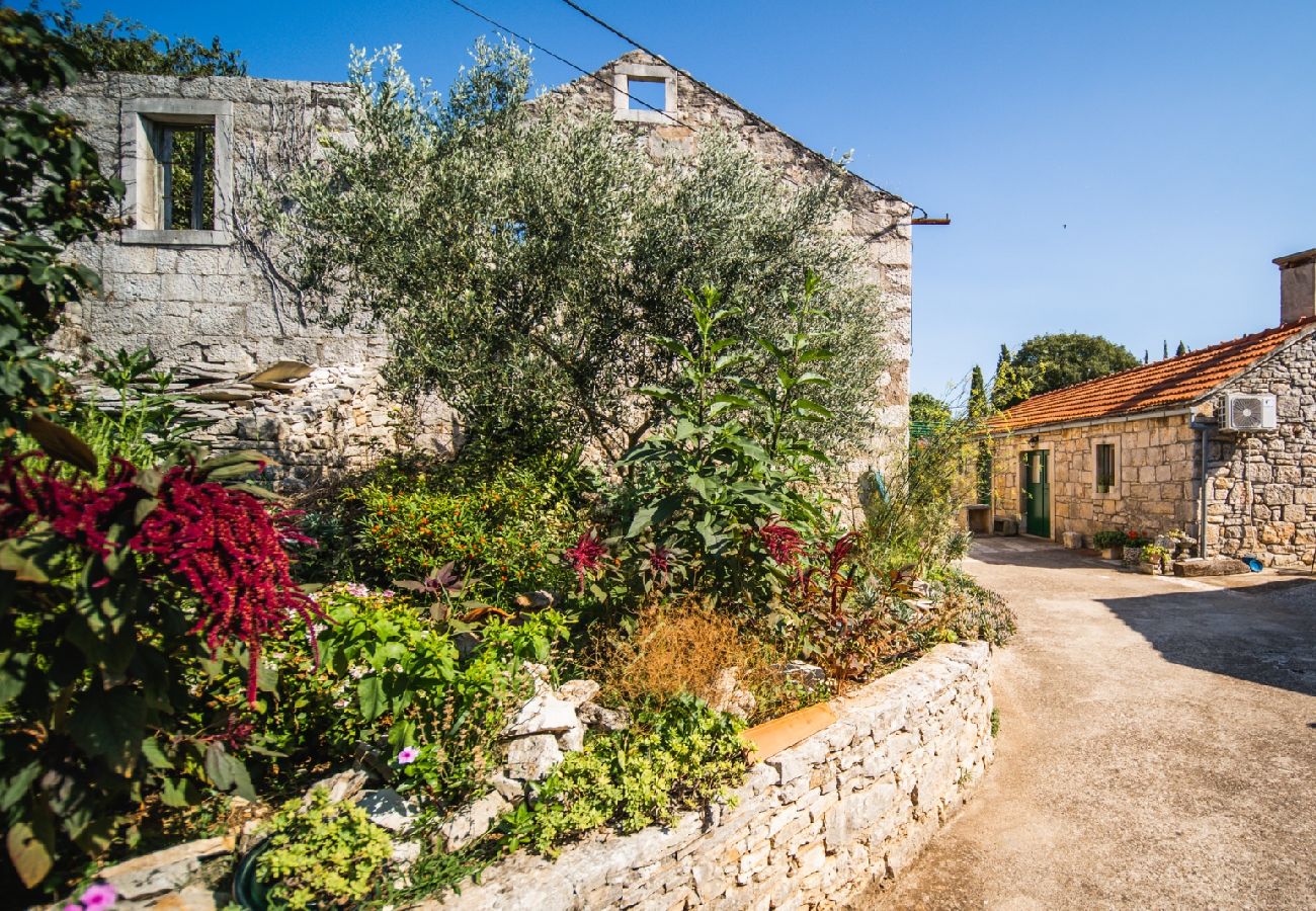 Casa a Žrnovo - Casa di vacanza in Žrnovo con terrazzo, Climatizzazione, WIFI (3709-2)