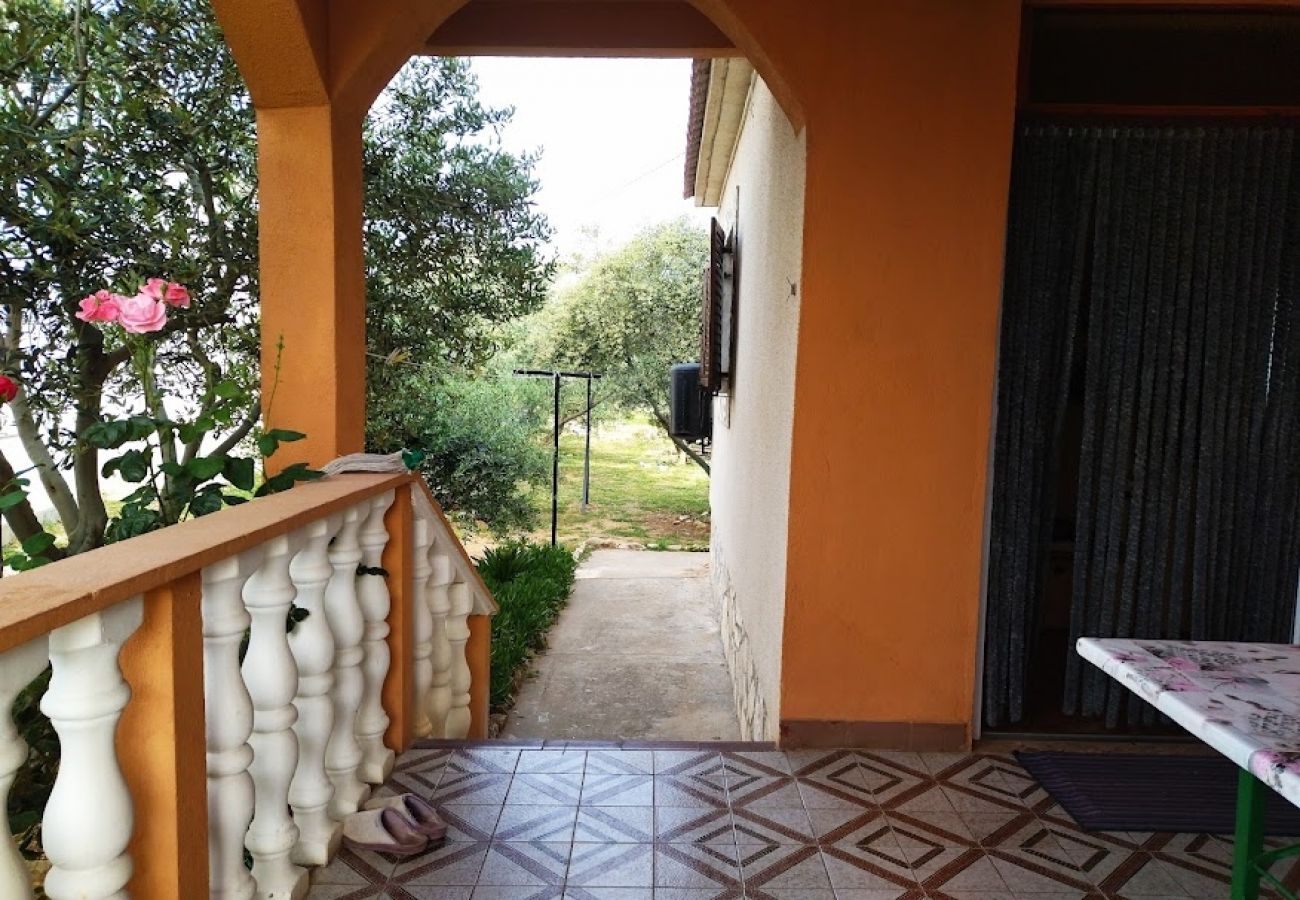 Appartamento a Nin - Appartamento in Nona (Nin) con terrazzo, Climatizzazione, WIFI (3718-1)