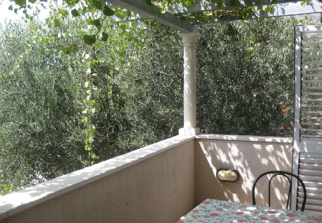 Appartamento a Bol - Appartamento in Vallo della Brazza (Bol) con vista mare, terrazzo, Climatizzazione, WIFI (3739-1) Appartamento a Bol - Appartamento in Vallo della Brazza (Bol) con vista mare, terrazzo, Climatizzazione, WIFI (3739-1)