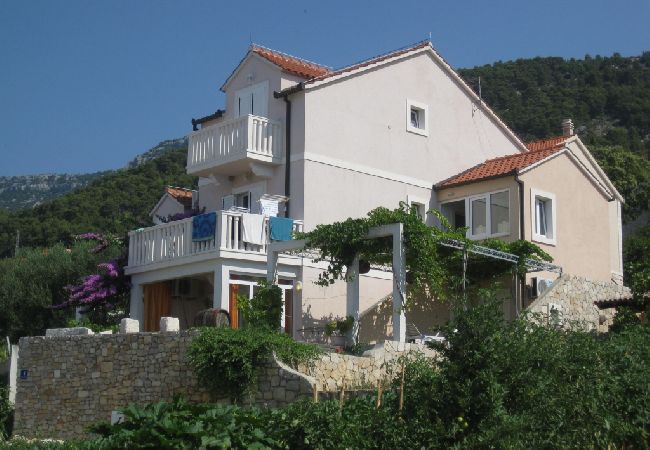 Appartamento a Bol - Appartamento in Vallo della Brazza (Bol) con vista mare, terrazzo, Climatizzazione, WIFI (3739-1) Appartamento a Bol - Appartamento in Vallo della Brazza (Bol) con vista mare, terrazzo, Climatizzazione, WIFI (3739-1)