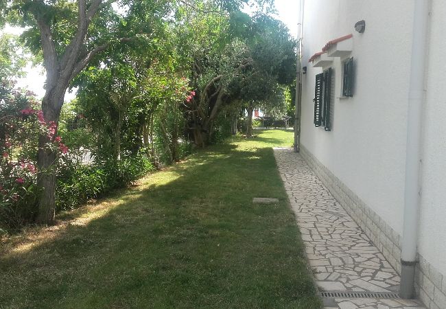 Appartamento a Rab - Appartamento in Arbe con vista mare, balcone, WIFI, Lavatrice (3728-1) Appartamento a Rab - Appartamento in Arbe con vista mare, balcone, WIFI, Lavatrice (3728-1)