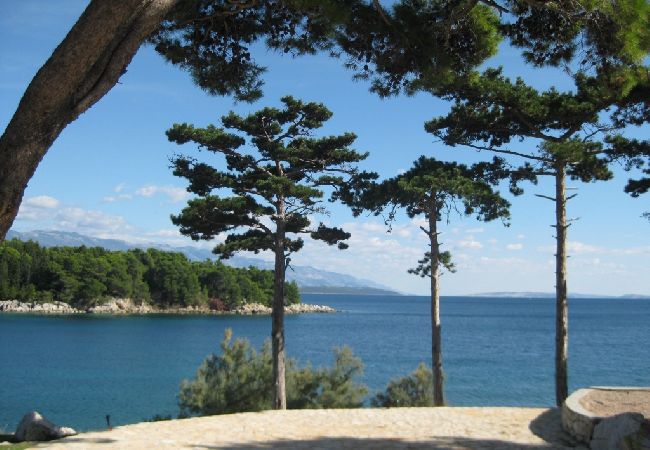 Appartamento a Rab - Appartamento in Arbe con vista mare, balcone, WIFI, Lavatrice (3728-1) Appartamento a Rab - Appartamento in Arbe con vista mare, balcone, WIFI, Lavatrice (3728-1)