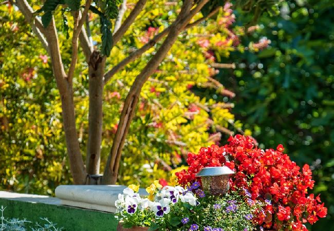 Appartamento a Bol - Appartamento in Vallo della Brazza (Bol) con vista mare, terrazzo, Climatizzazione, WIFI (3758-2) Appartamento a Bol - Appartamento in Vallo della Brazza (Bol) con vista mare, terrazzo, Climatizzazione, WIFI (3758-2)