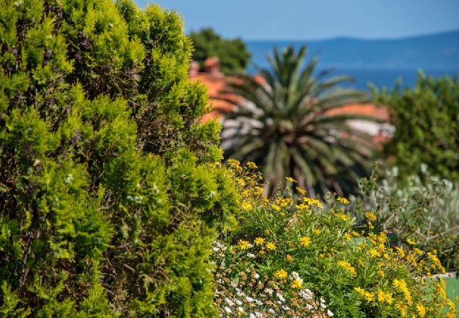 Appartamento a Bol - Appartamento in Vallo della Brazza (Bol) con vista mare, terrazzo, Climatizzazione, WIFI (3758-2) Appartamento a Bol - Appartamento in Vallo della Brazza (Bol) con vista mare, terrazzo, Climatizzazione, WIFI (3758-2)
