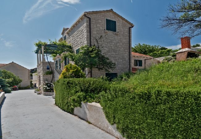 Appartamento a Bol - Appartamento in Vallo della Brazza (Bol) con vista mare, terrazzo, Climatizzazione, WIFI (3758-2) Appartamento a Bol - Appartamento in Vallo della Brazza (Bol) con vista mare, terrazzo, Climatizzazione, WIFI (3758-2)