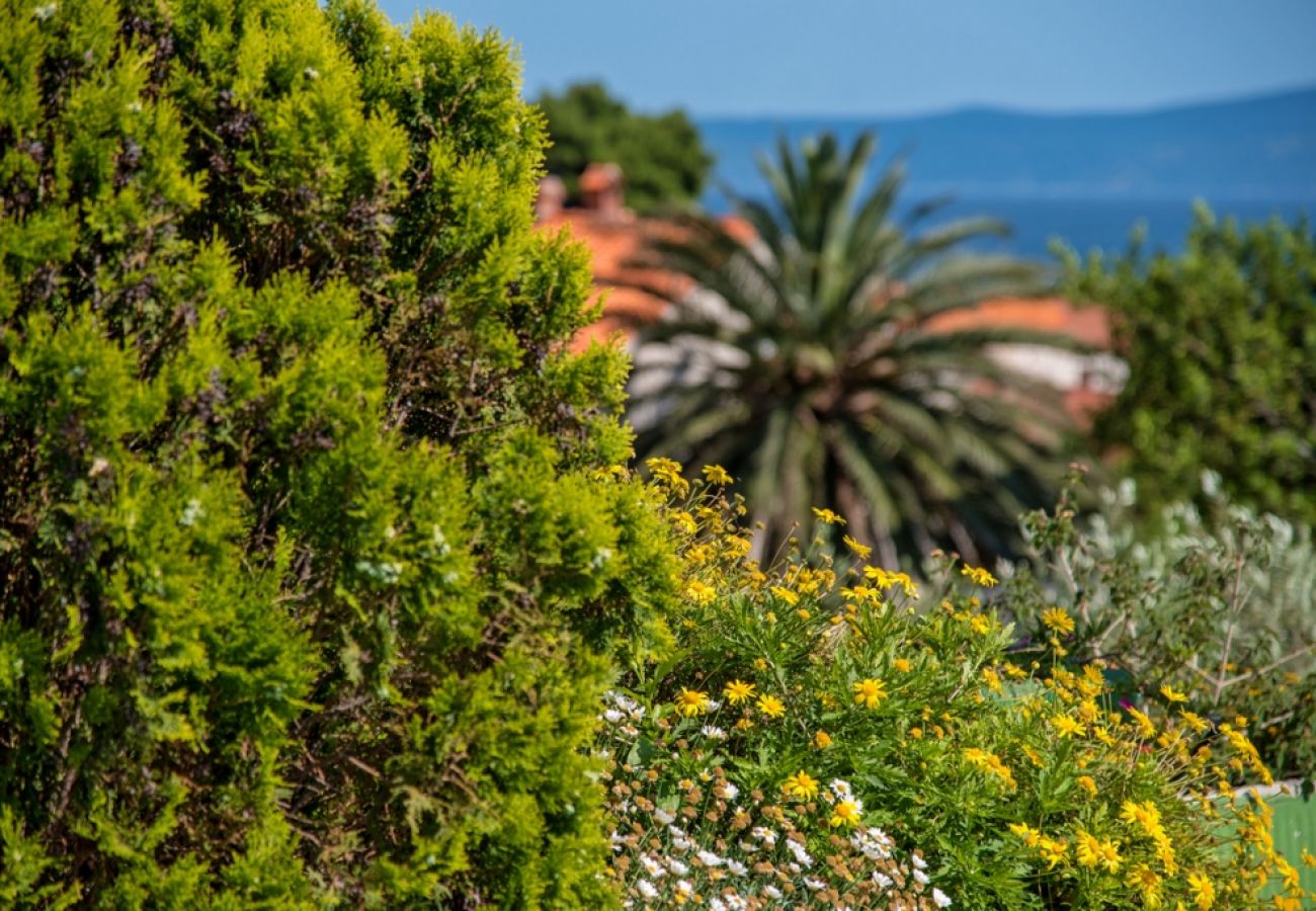 Appartamento a Bol - Appartamento in Vallo della Brazza (Bol) con vista mare, terrazzo, Climatizzazione, WIFI (3758-2)