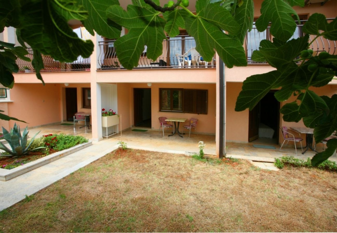 Studio a Porec - Appartamento Studio in Parenzo (Porec) con terrazzo, WIFI (3794-1)