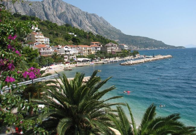 Appartamento a Podgora - Appartamento in Podgora con vista mare, terrazzo, Climatizzazione, WIFI (3812-6) Appartamento a Podgora - Appartamento in Podgora con vista mare, terrazzo, Climatizzazione, WIFI (3812-6)