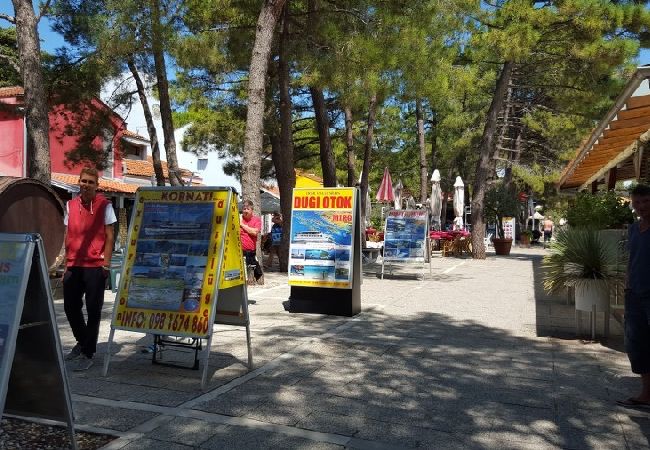 Appartamento a Nin - Appartamento in Zaton (Zadar) con terrazzo, Climatizzazione, WIFI, Lavatrice (4141-3) Appartamento a Nin - Appartamento in Zaton (Zadar) con terrazzo, Climatizzazione, WIFI, Lavatrice (4141-3)