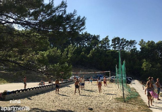 Appartamento a Donji Karin - Appartamento in Karin Gornji con vista mare, balcone, Climatizzazione, WIFI (4207-1) Appartamento a Donji Karin - Appartamento in Karin Gornji con vista mare, balcone, Climatizzazione, WIFI (4207-1)