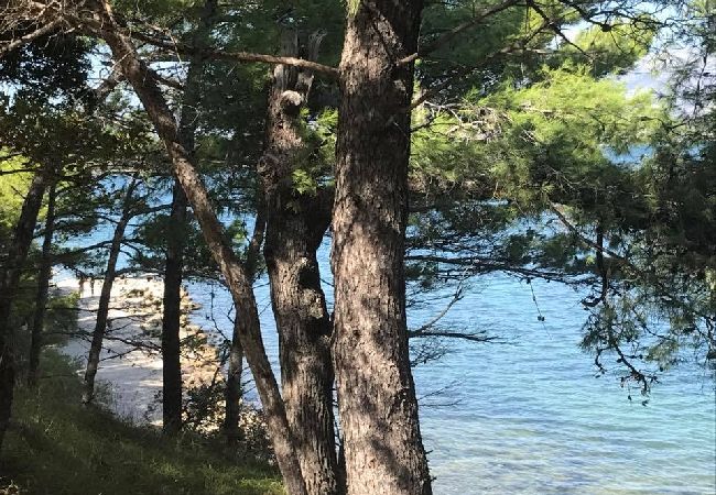 Appartamento a Donji Karin - Appartamento in Karin Gornji con vista mare, terrazzo, Climatizzazione, WIFI (4207-3) Appartamento a Donji Karin - Appartamento in Karin Gornji con vista mare, terrazzo, Climatizzazione, WIFI (4207-3)