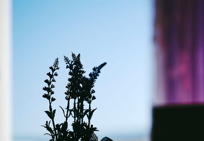 Appartamento a Trogir - Ferienwohnung in Trogir mit Terrasse, Klimaanlage, W-LAN, Waschmaschine (4215-1) Appartamento a Trogir - Ferienwohnung in Trogir mit Terrasse, Klimaanlage, W-LAN, Waschmaschine (4215-1)