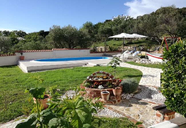 Appartamento a Kampor - Appartamento in Kampor con terrazzo, Climatizzazione, WIFI (4235-3) Appartamento a Kampor - Appartamento in Kampor con terrazzo, Climatizzazione, WIFI (4235-3)