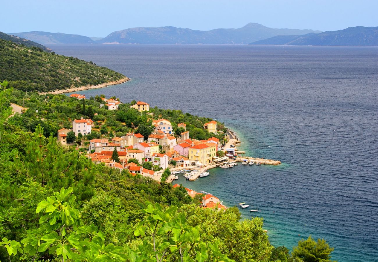 Casa a Stivan - Casa di vacanza in Stivan con vista mare, terrazzo, Climatizzazione, WIFI (4239-1)