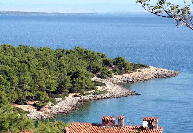 Appartamento a Mali Lošinj - Appartamento in Lussinpiccolo (Mali Losinj) con terrazzo, Climatizzazione, WIFI, Lavatrice (4241-2) Appartamento a Mali Lošinj - Appartamento in Lussinpiccolo (Mali Losinj) con terrazzo, Climatizzazione, WIFI, Lavatrice (4241-2)
